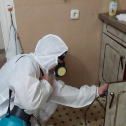 Дезинфекция от муравьев в квартире в Ярославском районе Москвы