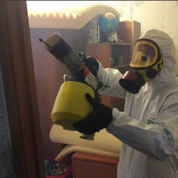 Уничтожение клопов в квартире. Ярославский район 